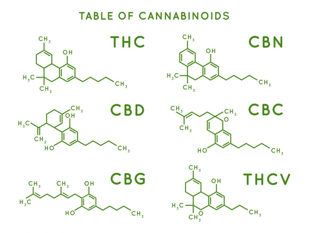 Cannabis, Yeast and the Quest for Cannabinoid Synthesis